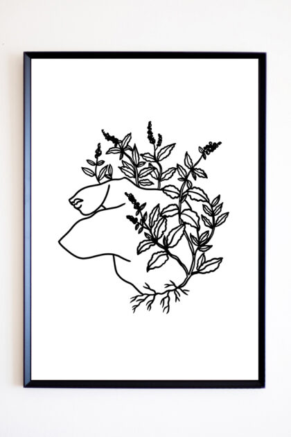Artemida